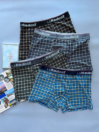 Чоловічі труси клітинка (9733)